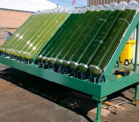 Algae in vats convert water and carbon dioxide into
biofuels.